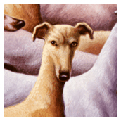 The Heart of the Greyhound — Cincinnati Heart Mini-Marathon Poster - client: Cincinnati Chapter, American Heart Association Gold Medal Winner, Society of Illustrators