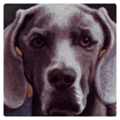 Stella’s World - personal work