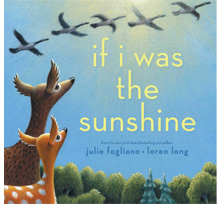 If I Was the Sunshine